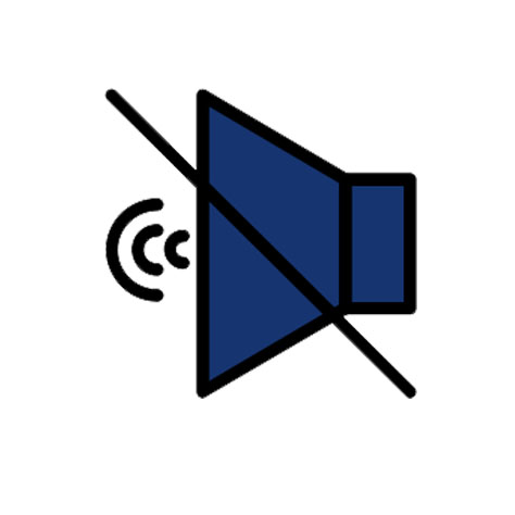 Screen Reader